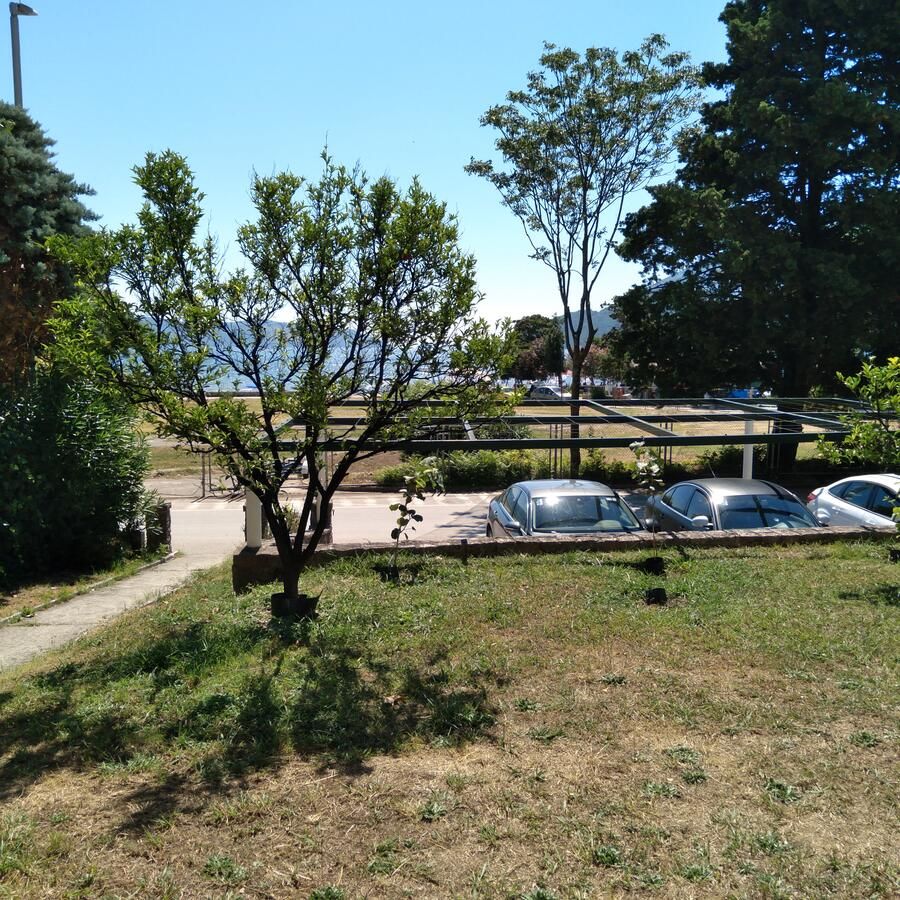 Апартаменты Apartment Oko Boke Херцег-Нови-14